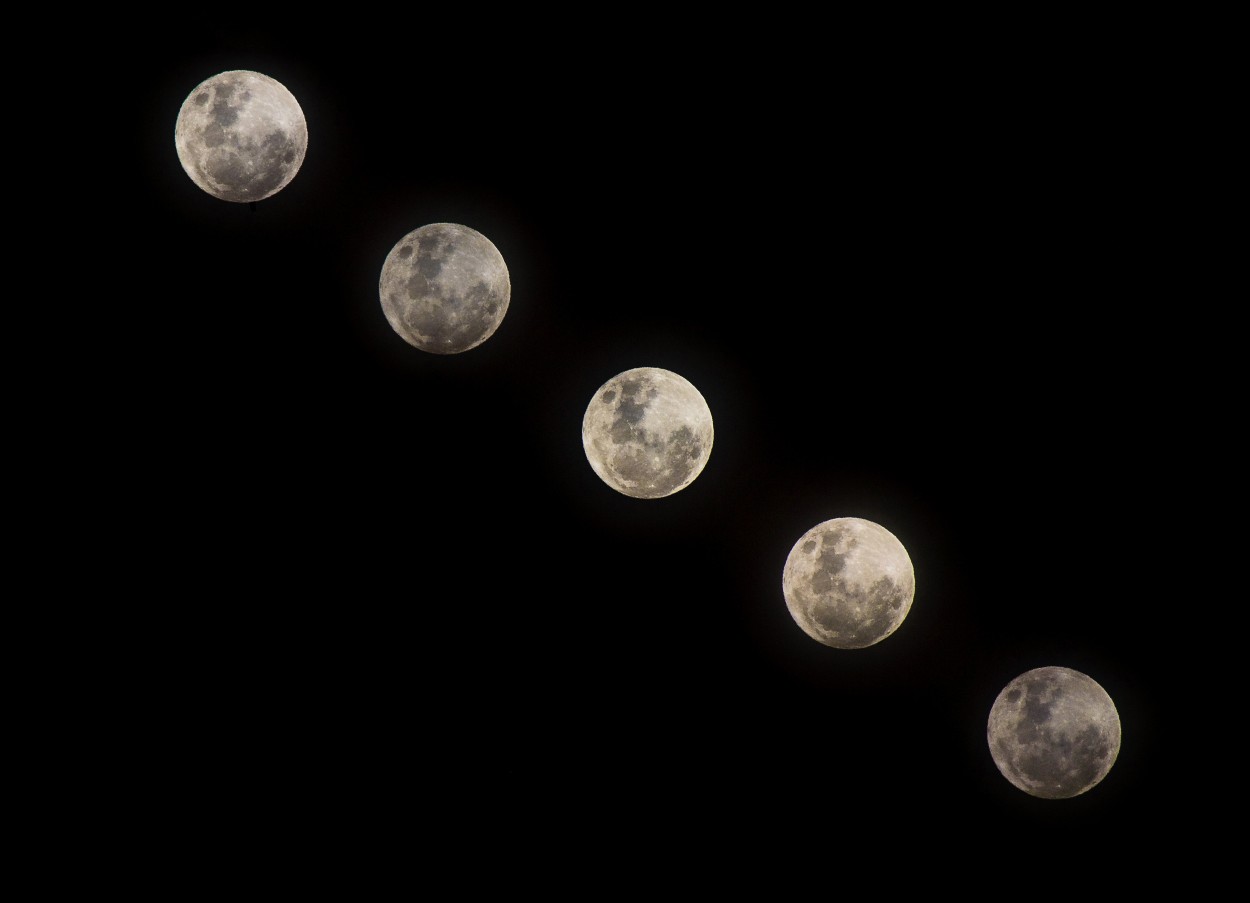 "Luna llena de anoche" de Luis Torres Sal