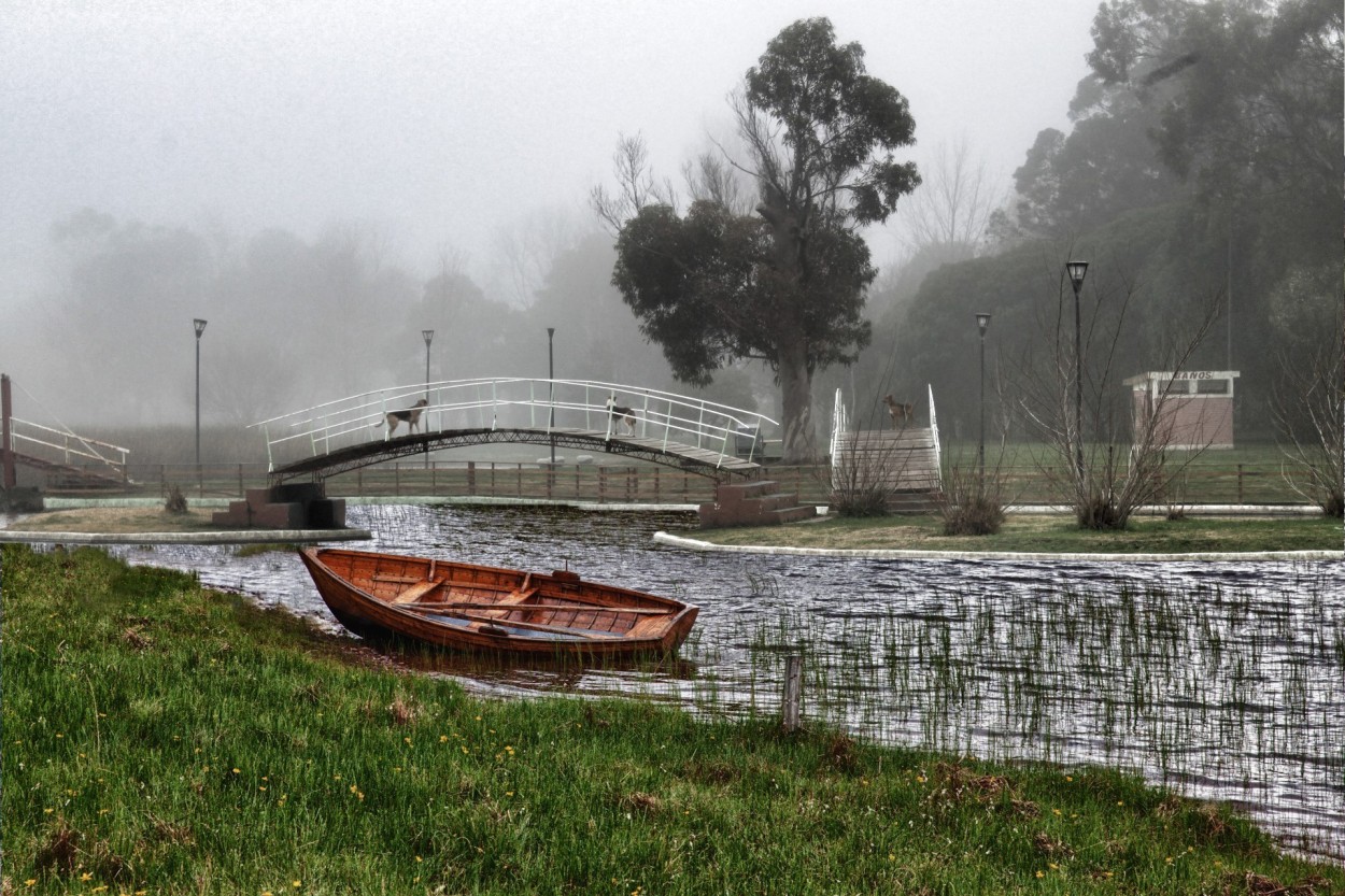 "Niebla en el Parque." de Roberto Velazquez