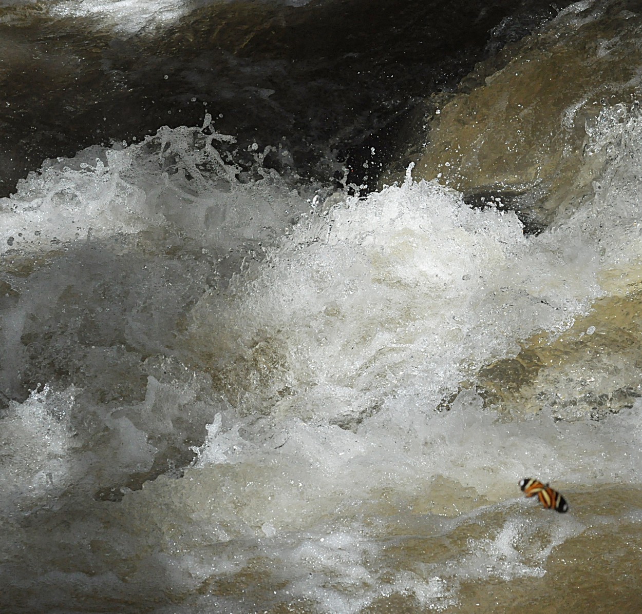 "Enfrentado as guas da cachoeira sem medo!" de Decio Badari