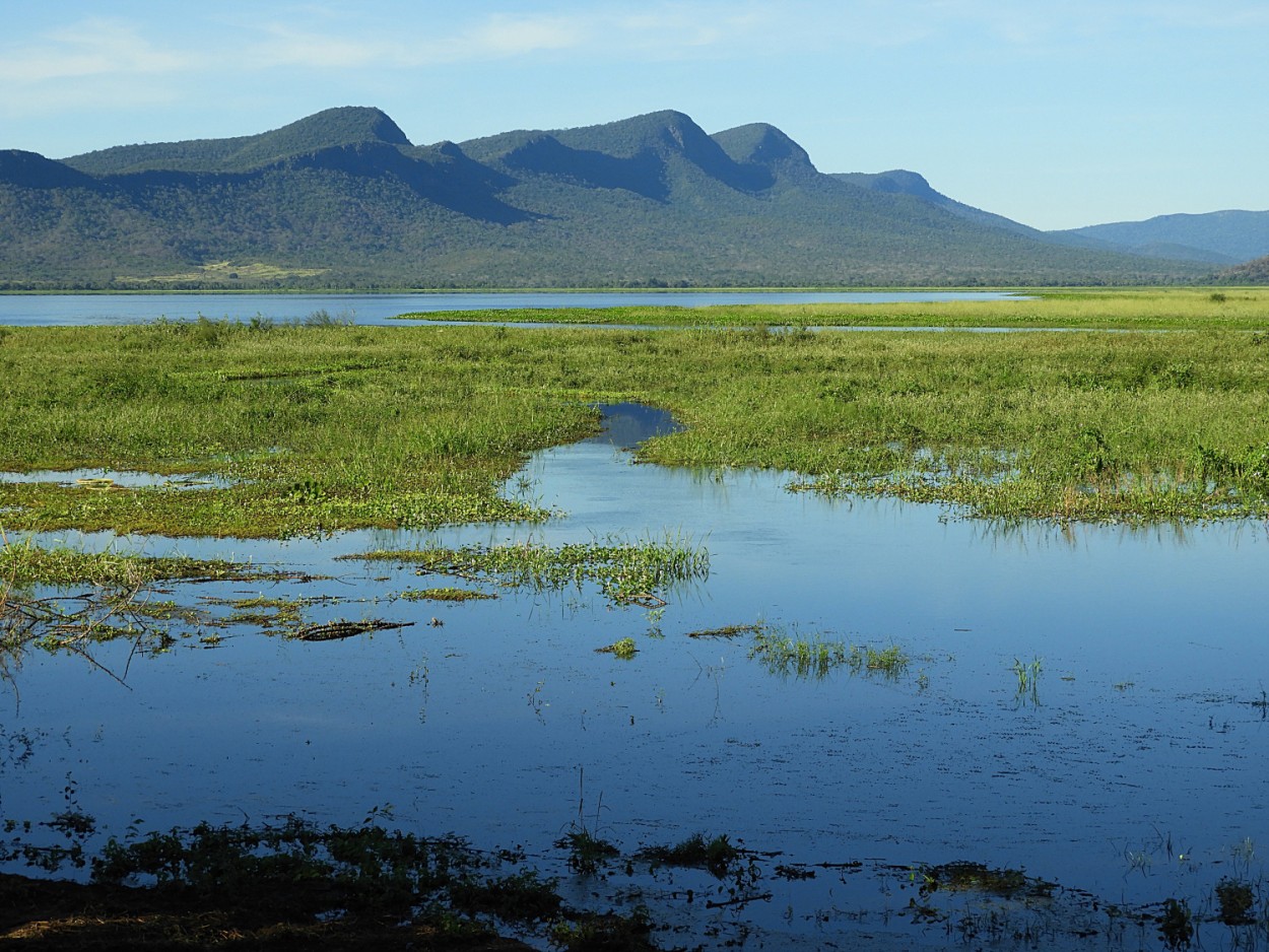 "O Pantanal em 2018 quando l estive, enchentes." de Decio Badari