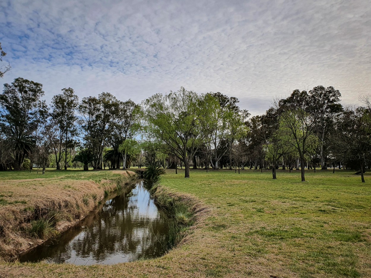 "El canal del Parque II" de Fernando Valdez Vazquez