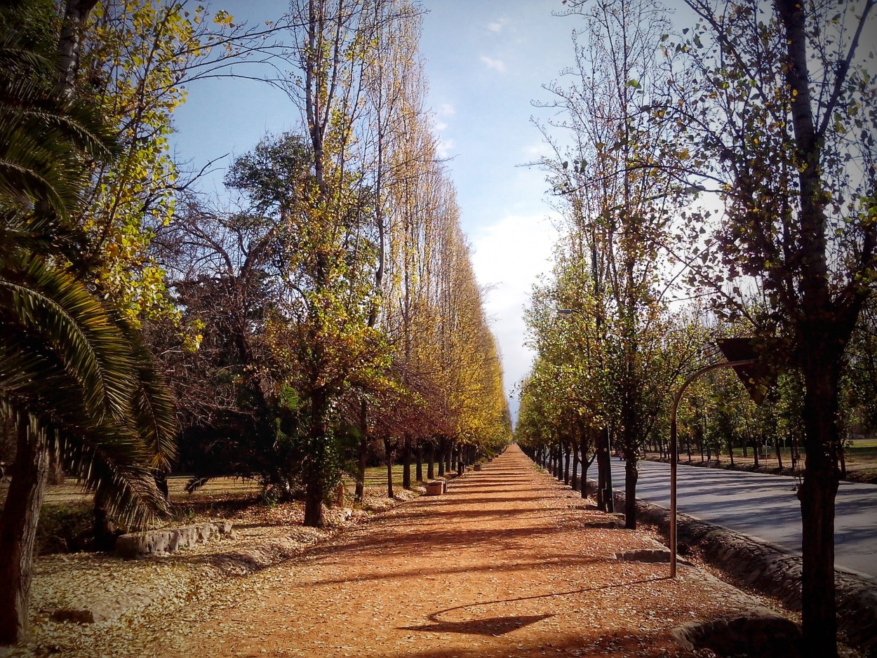 "Paseo en Perspectiva" de Jos Manuel Molina