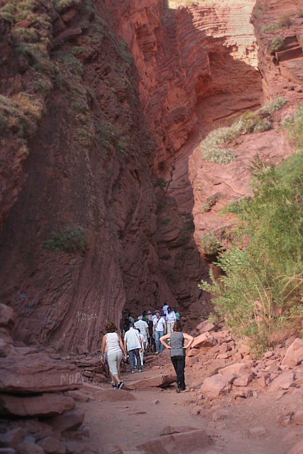 "Hacia la gruta" de Julio Fontana