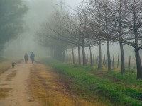 Baja visibilidad