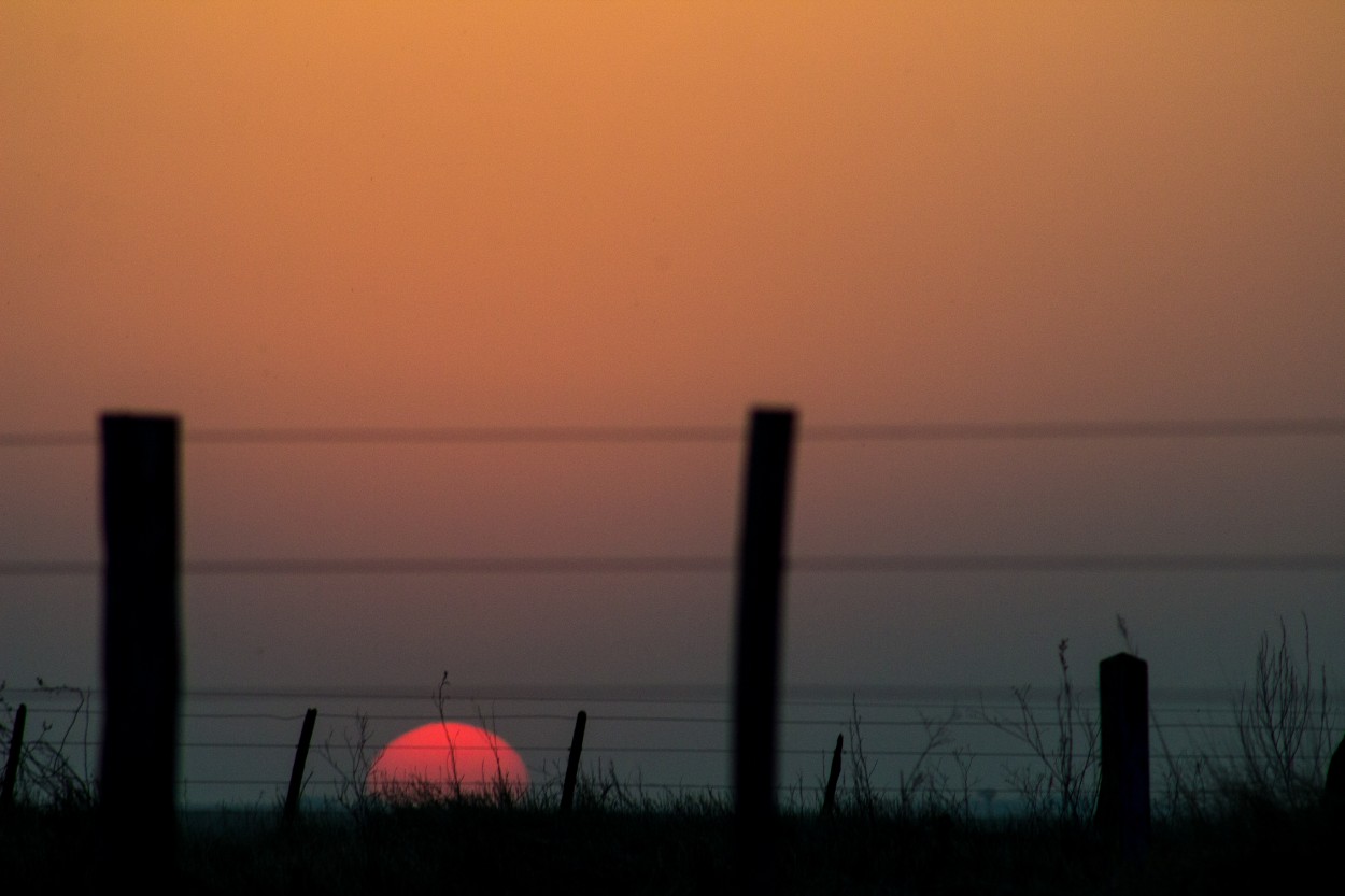 "Atardece en el campo" de Su Garcia Hillcoat