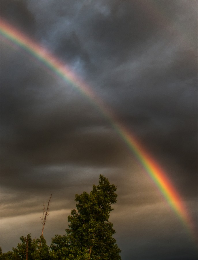 "Despus de la tormenta..." de Dante Murri