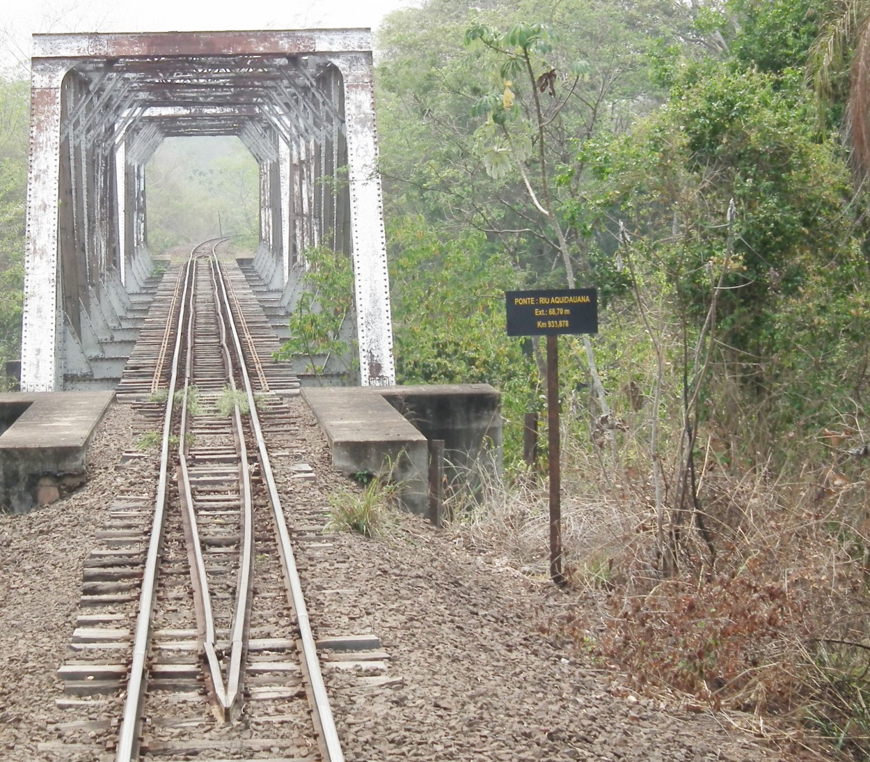 "Um passeio no trem do Pantanal M.S." de Decio Badari