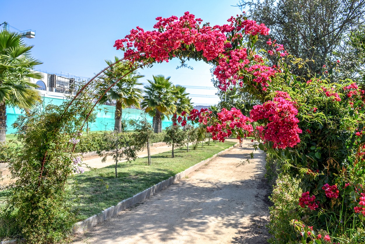 "Bienvenida primavera II" de Eduardo Jorge Pompei