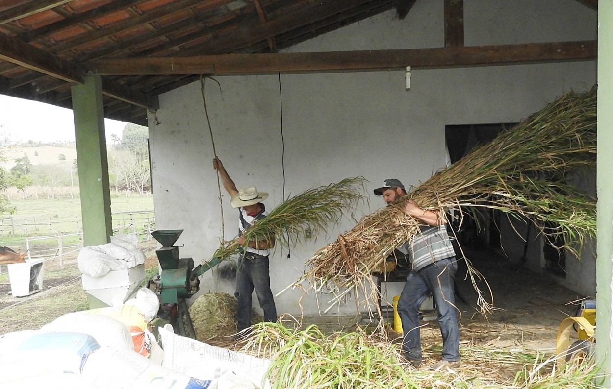 "No campo o trabalho comea bem cedo!" de Decio Badari