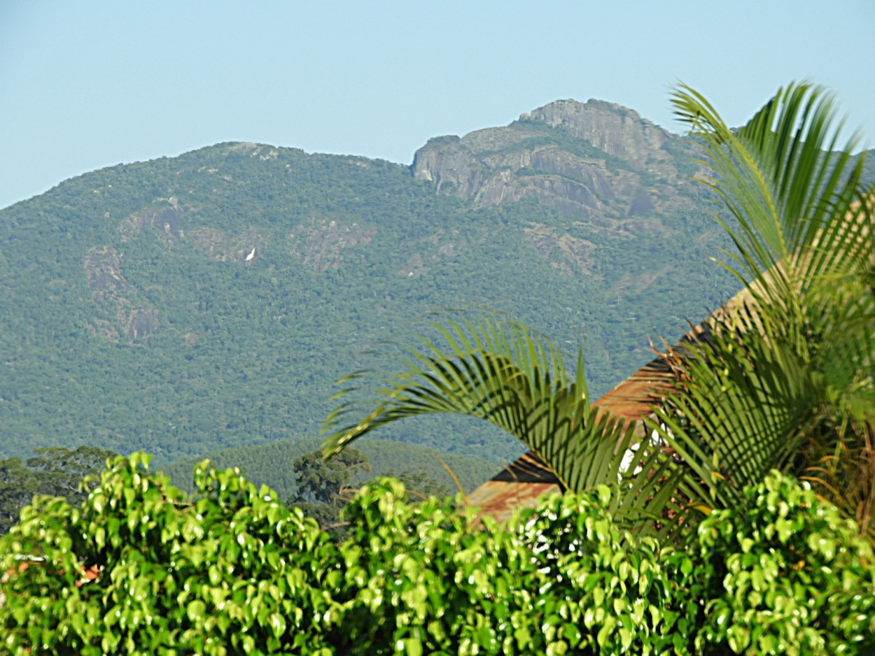 "Mais um lindo dia da Primavera, e a quarentena...." de Decio Badari