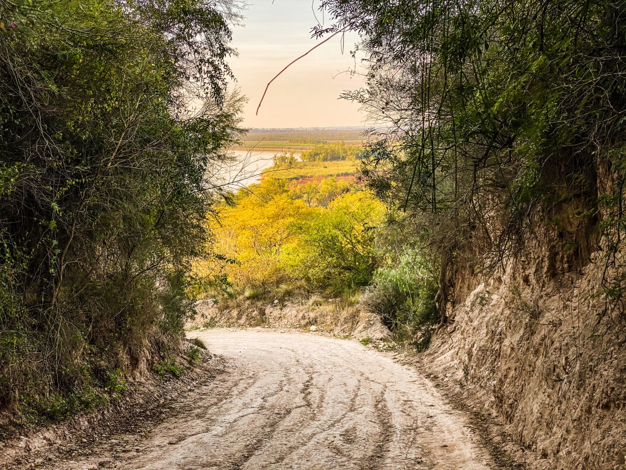 "Bajada de Nuez" de Cynthia Fistraiber