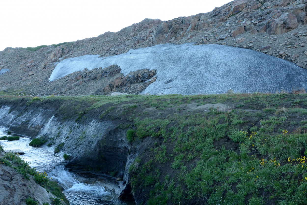 "Deshielo en Copahue, Neuqun." de Carlos E. Wydler