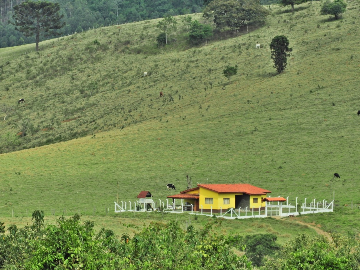 "Eu tambm quero uma casa no campo!" de Decio Badari