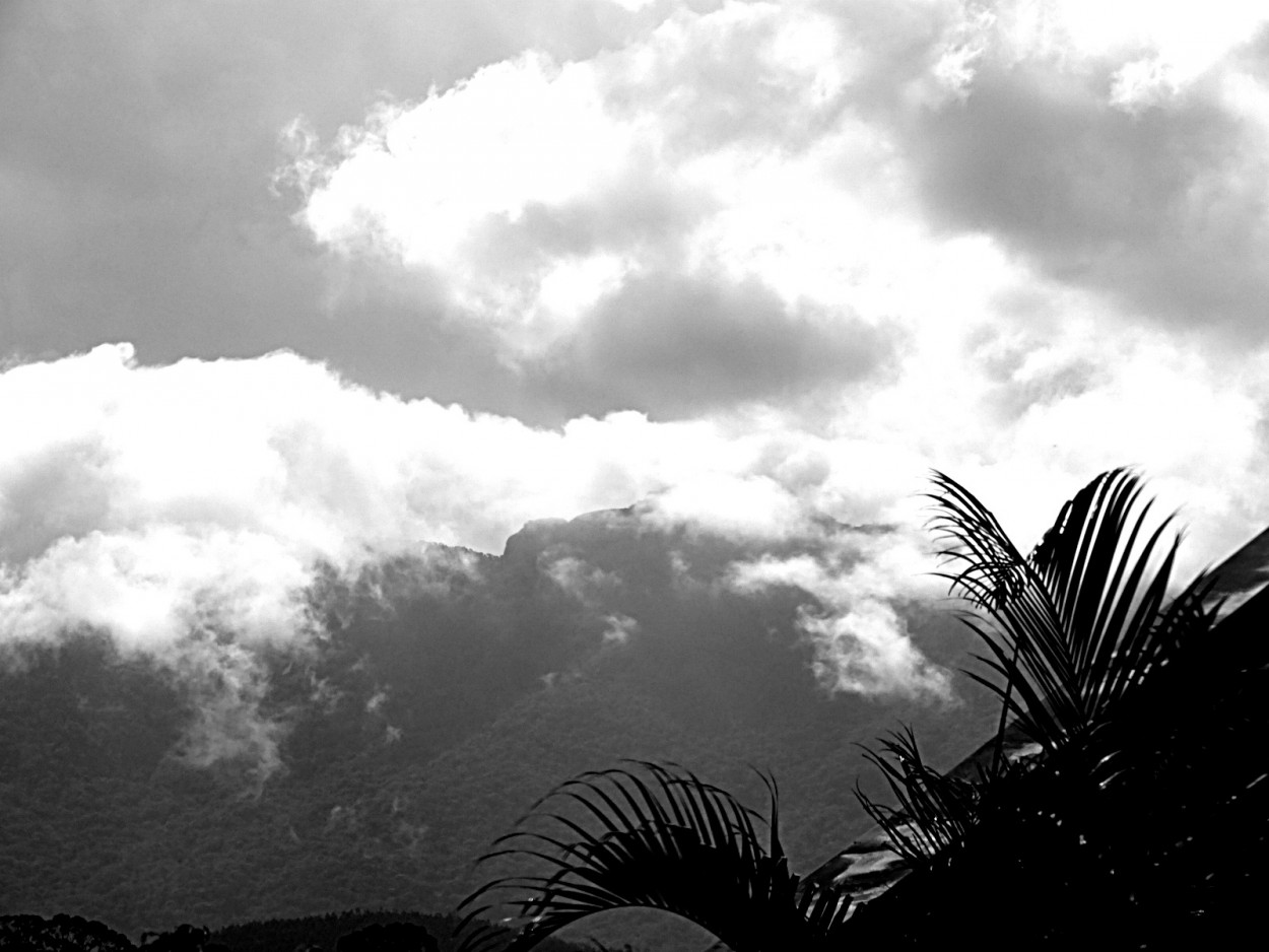 "Depois do temporal vem a........" de Decio Badari