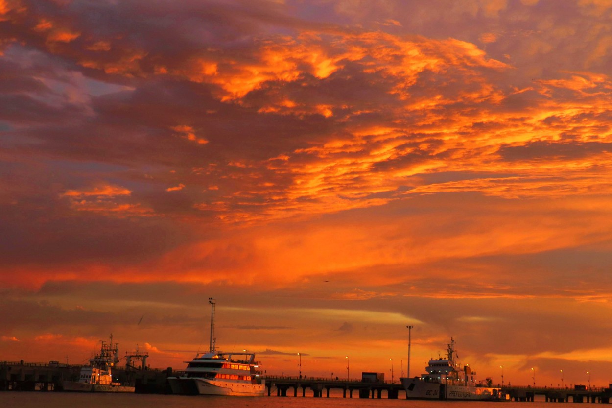 "`Tranquilidad en el puerto`" de Iris Elizabeth Scotto