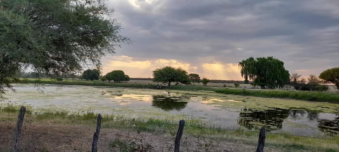 "El campo" de Cristian M Peters