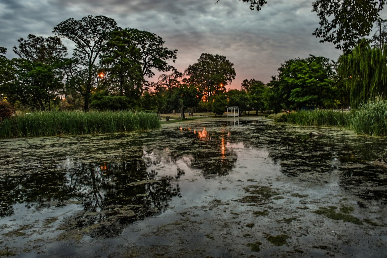 "Atardecer en el Parque Sarmiento" de Carolina Unrein