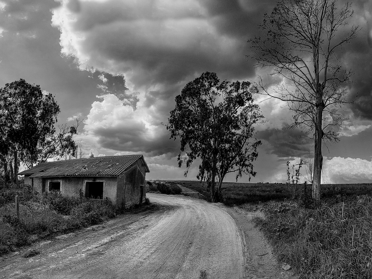 "La Cantera" de Gerardo Saint Martn