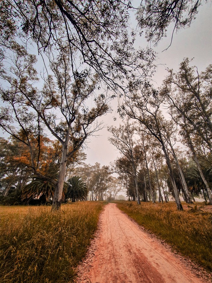 "Por el camino" de Fernando Valdez Vazquez