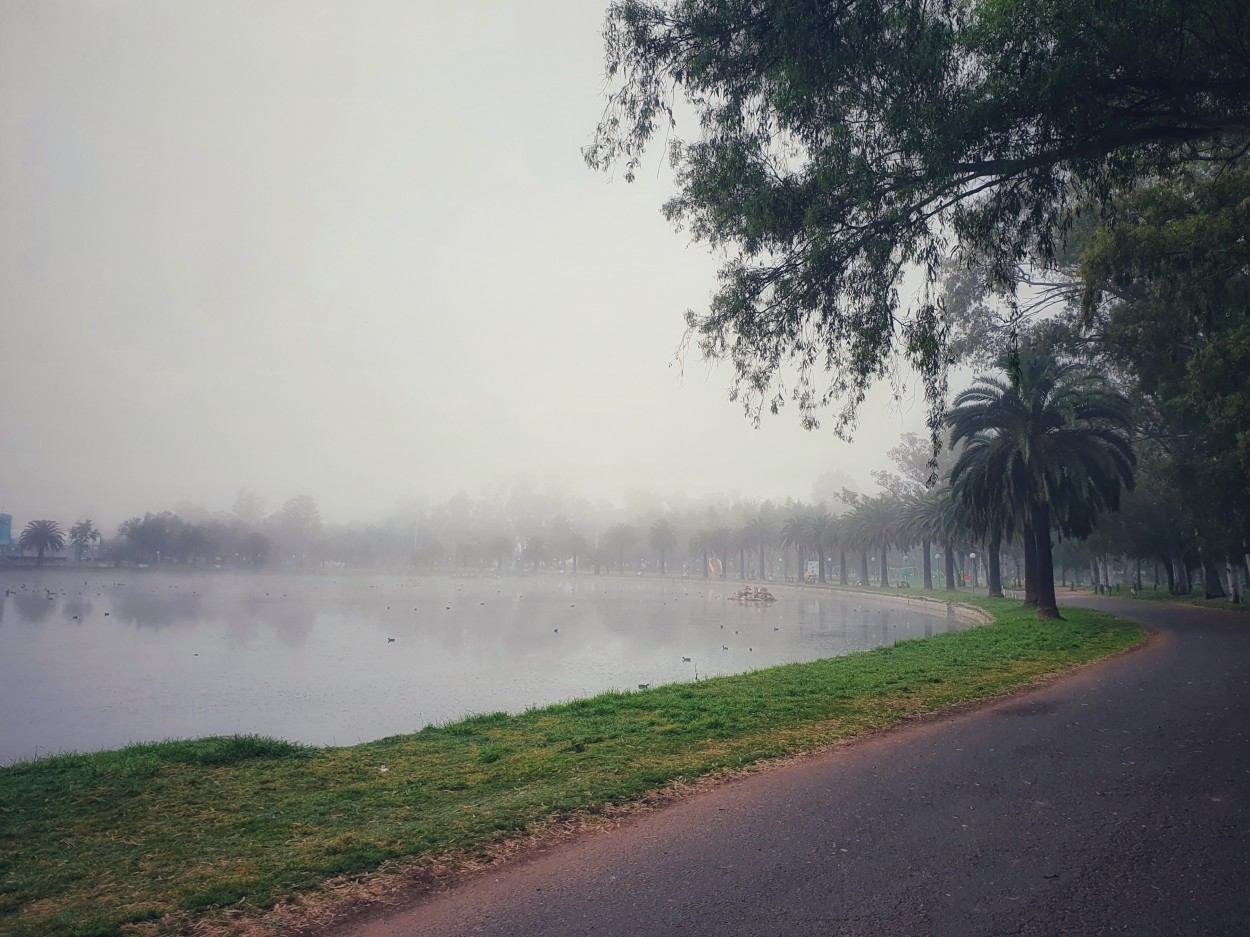 "Niebla en La Glorieta" de Fernando Valdez Vazquez