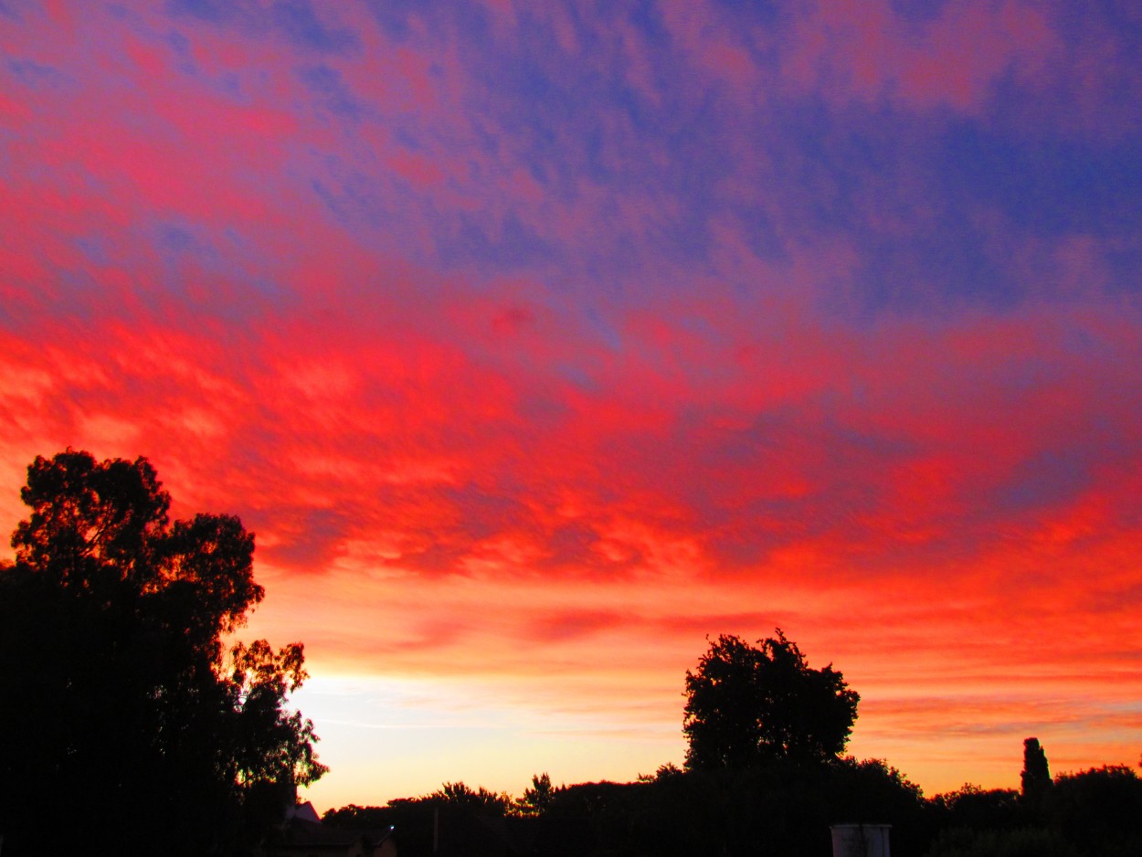 "Atardecer de Noviembre..." de Evelyn Ileana Becaz