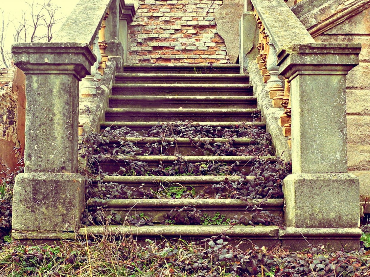 "La eSCaLeRa de la ViDa" de Joana Sansalvador Roca