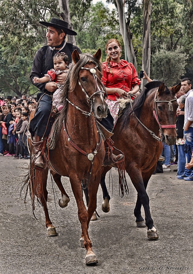 "Cabalgata de amor" de Gabriel Oscar Navarreta