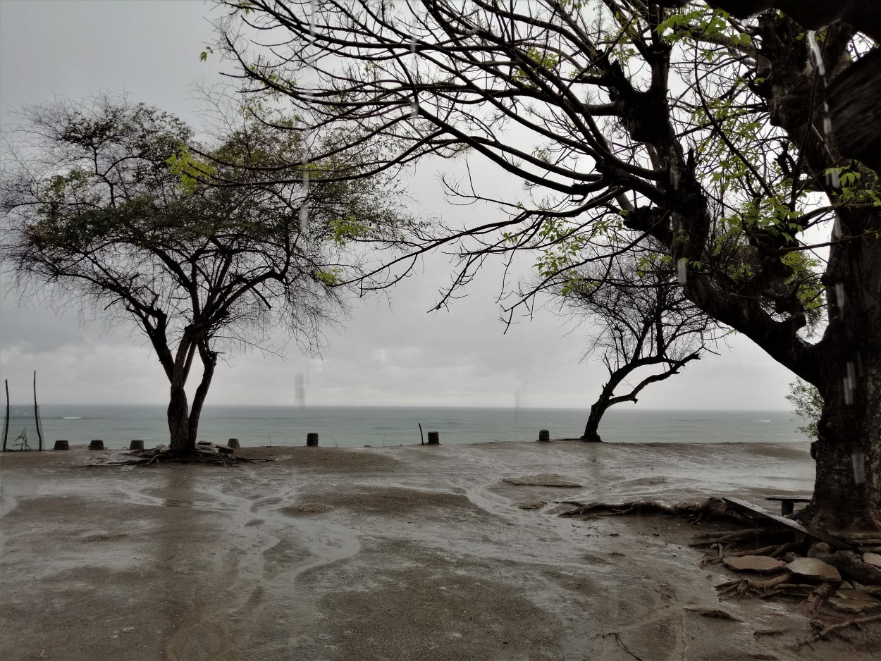 "Chuva" de Maria Cristina de Castilho Brda