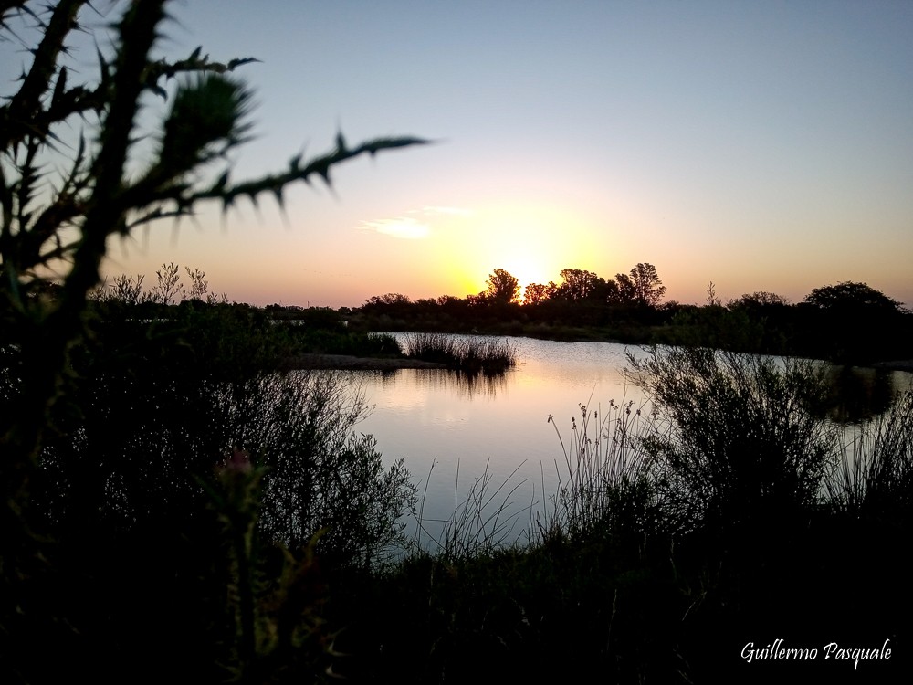 "Ocaso en la laguna" de Guillermo Daniel Pasquale