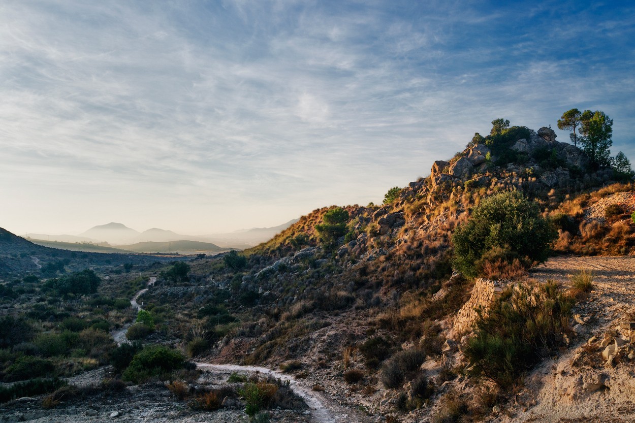 "Camino a Soriano" de Francisco Jos Cerd Ortiz