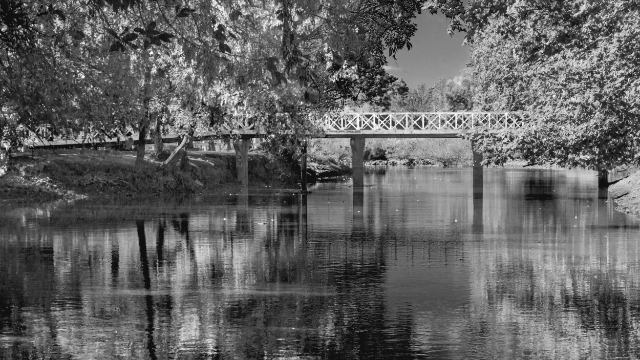 "El arroyo y el puente" de Eli - Elisabet Ferrari