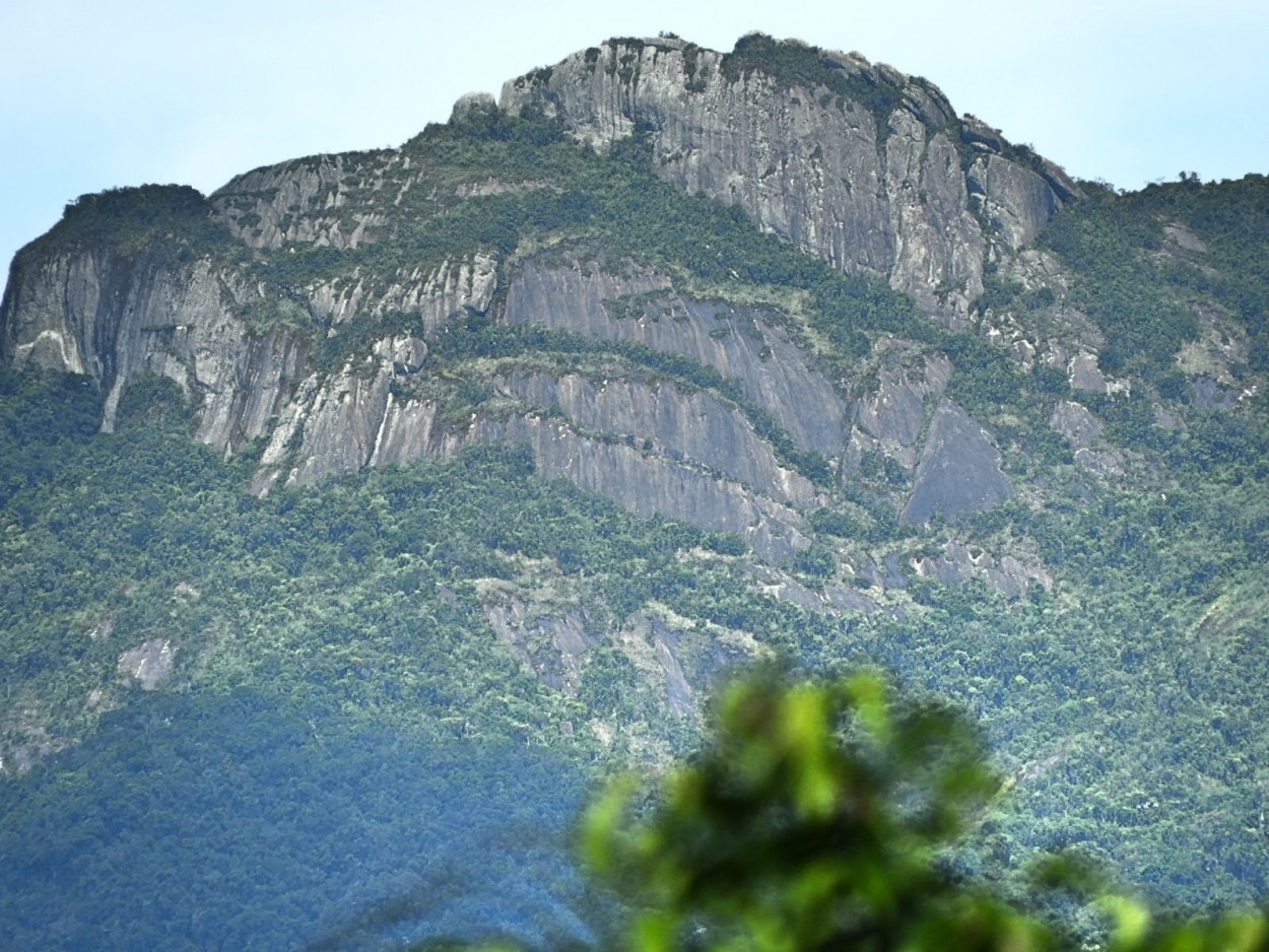 "Do nosso jardim,um olhar na Serra da Mantiqueira" de Decio Badari