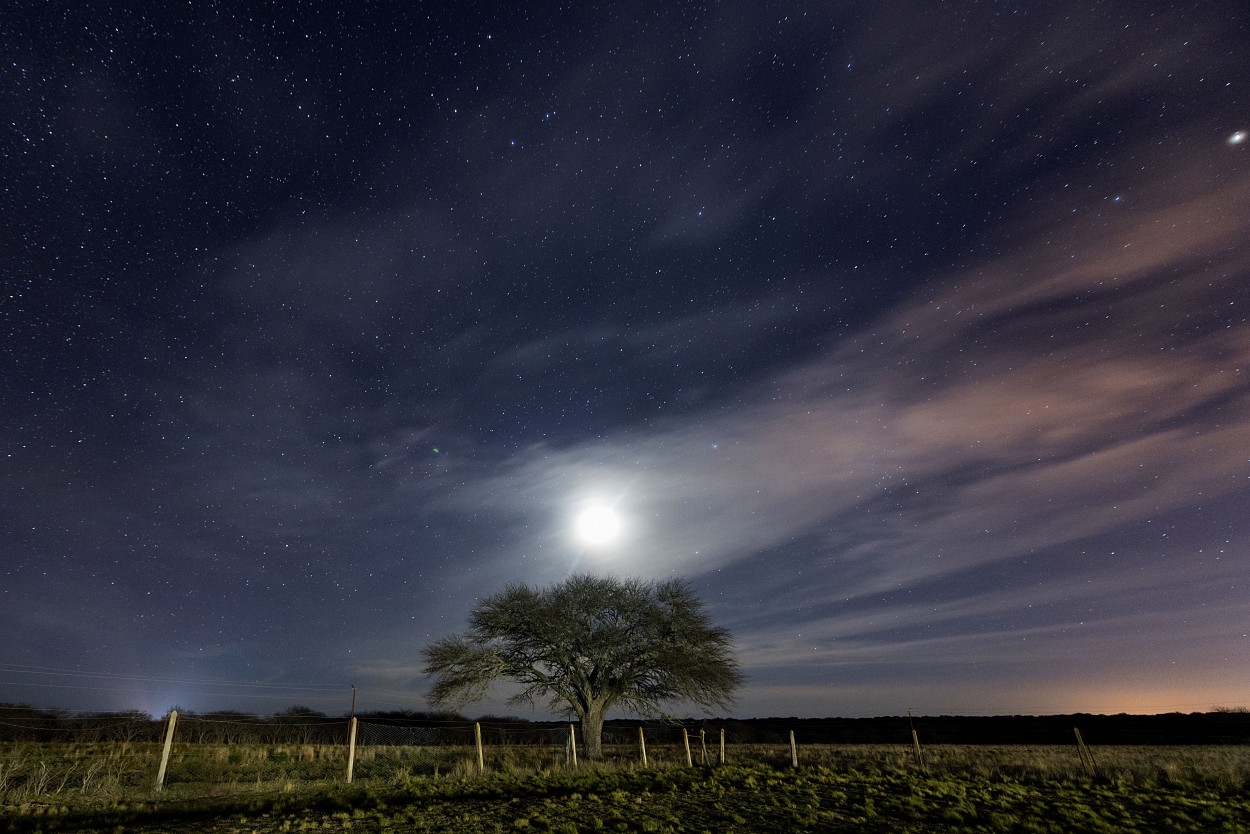 "Parque Luro, La Pampa-Argentina" de Luis Guillermo Gonzalez