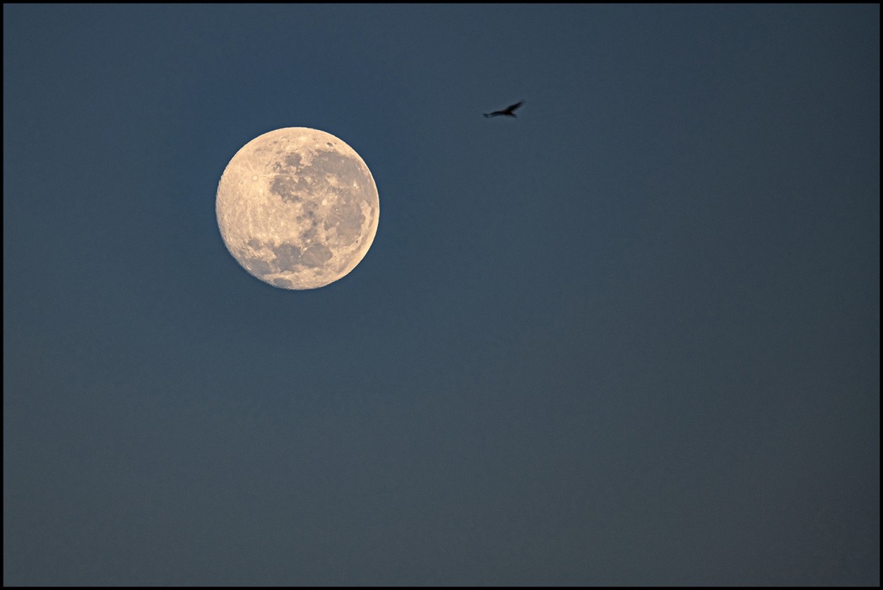 "Ultima luna llena 2020" de Luis Fernando Somma (fernando)