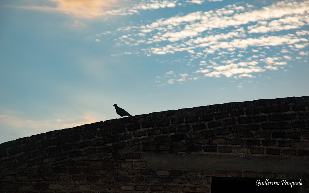 "Entre el Cielo y la Tierra" de Guillermo Daniel Pasquale