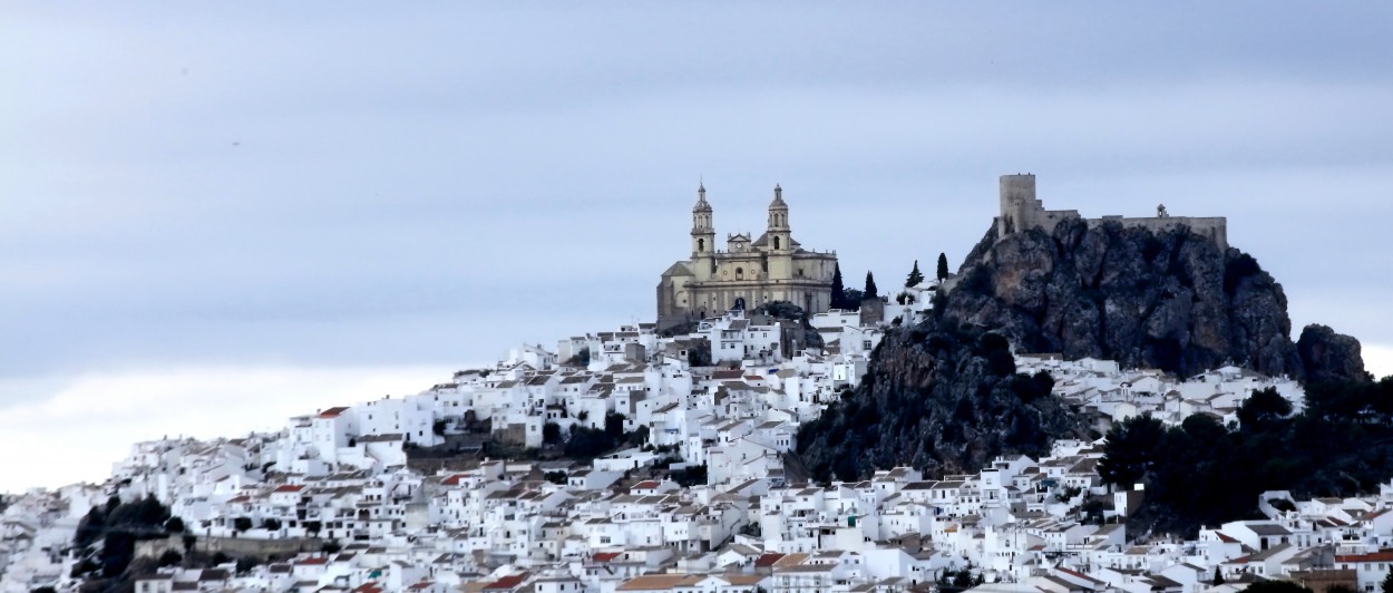 "Olvera." de Francisco Luis Azpiroz Costa