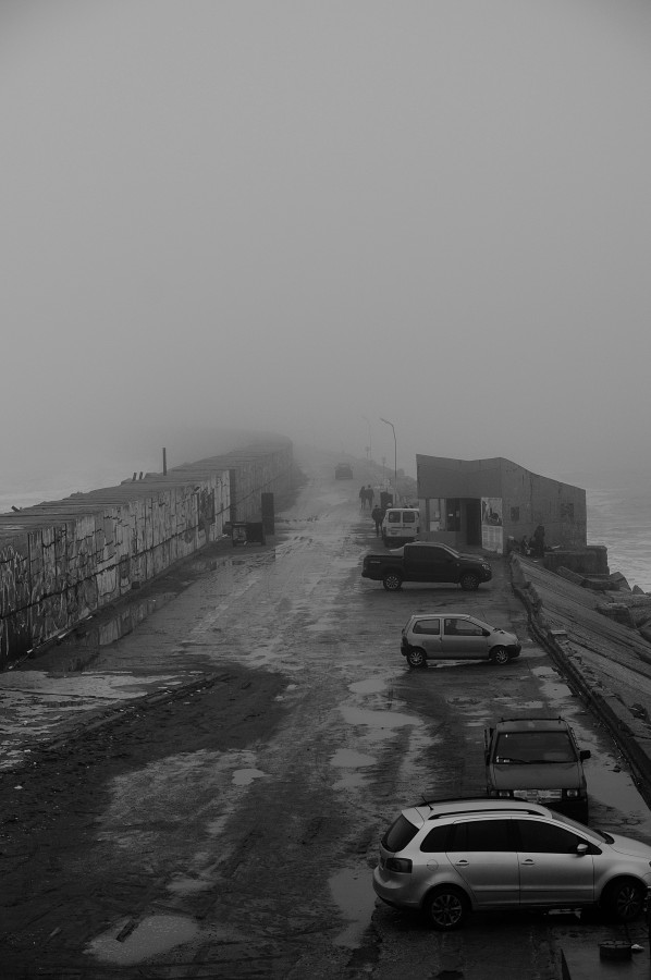 "Niebla en la escollera" de Patricia Briglia