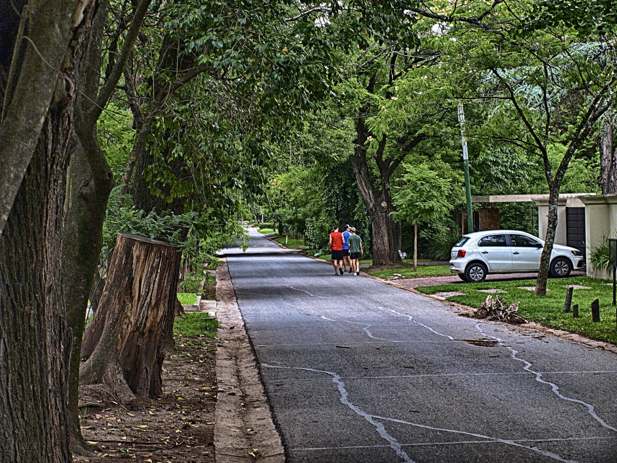 "La calle" de Roberto Bernabitti