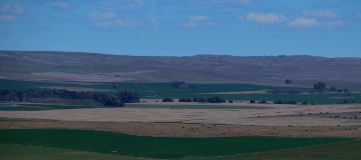 "Campos de Tandil" de Victor Fontana