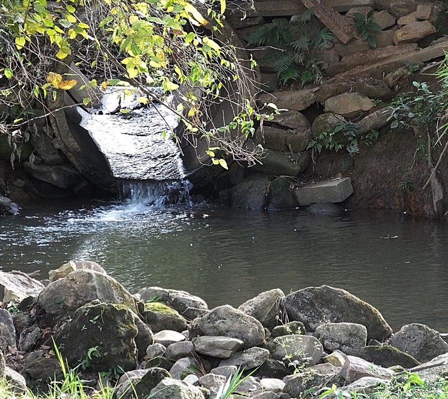 "Uma pausa refrecante,entre uma foto e outra!" de Decio Badari