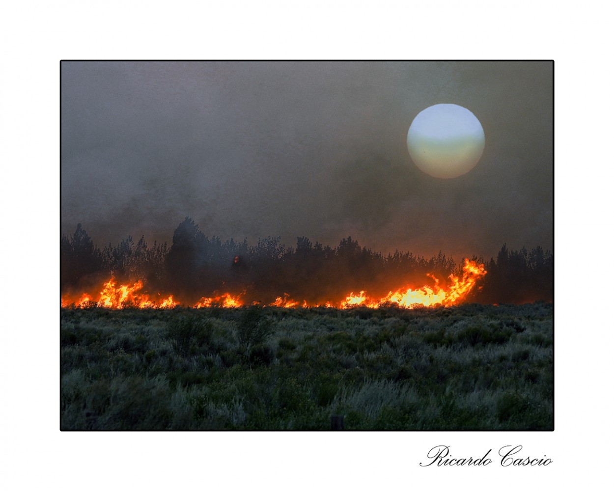 "Fuego al atardecer" de Ricardo Cascio