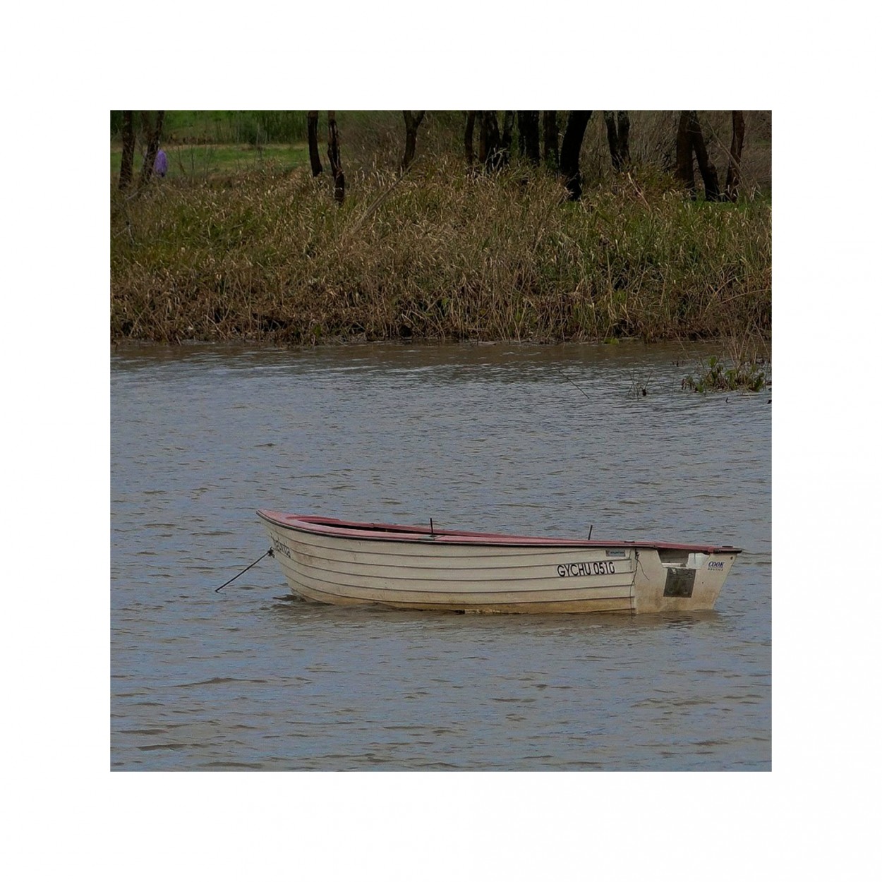 "El bote" de Jorge Carlos Tarditi (carlos)