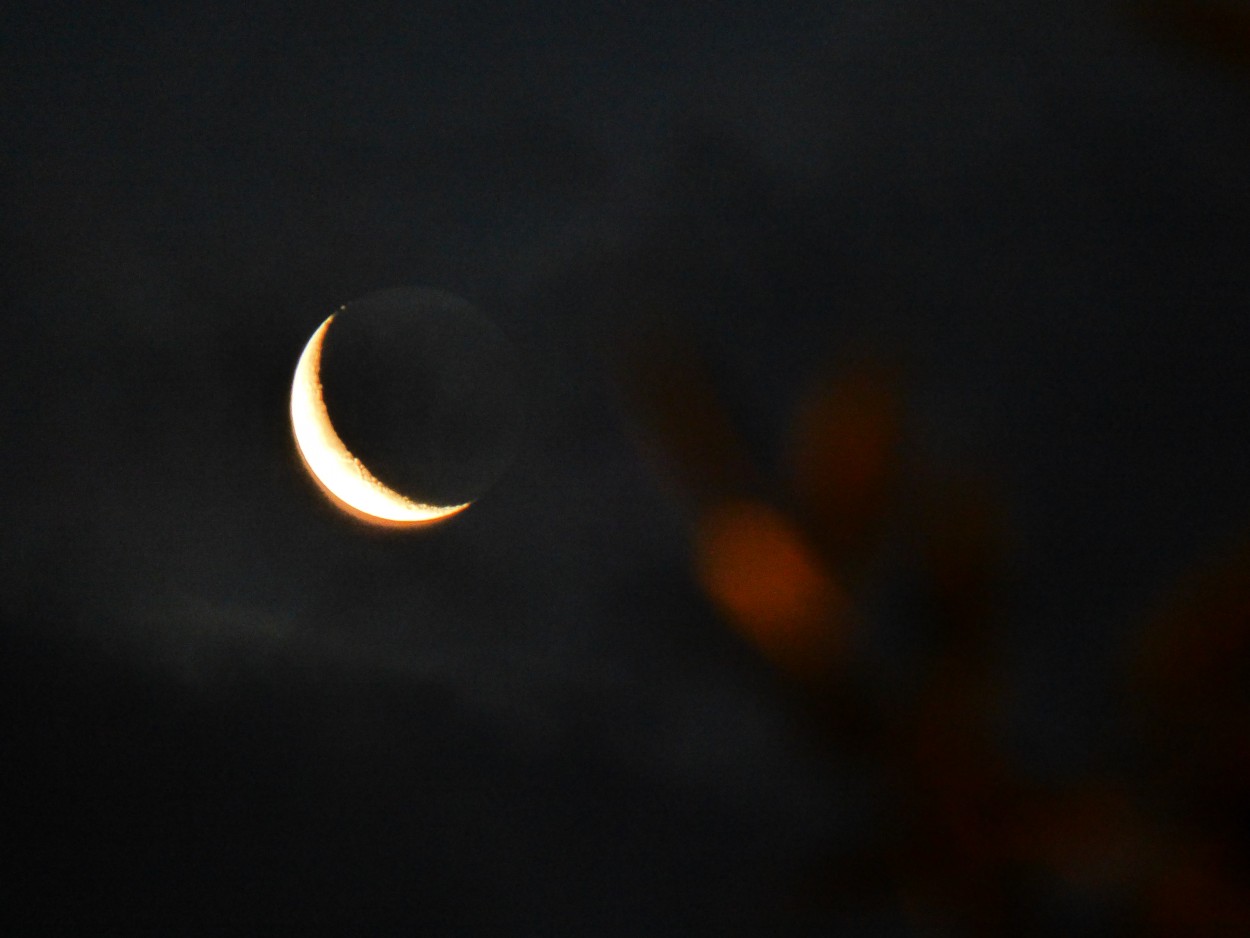 "` Noche de Luna `" de Graciela Edith Flocco