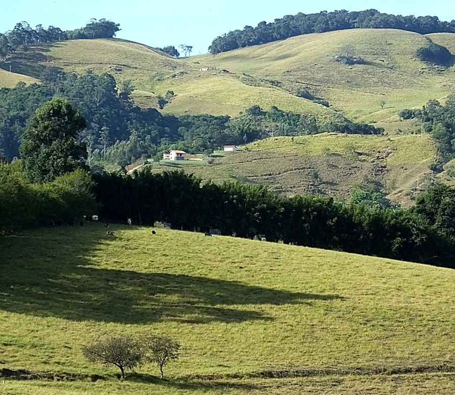 "Todos querem uma casa no campo,ar puro e silencio!" de Decio Badari