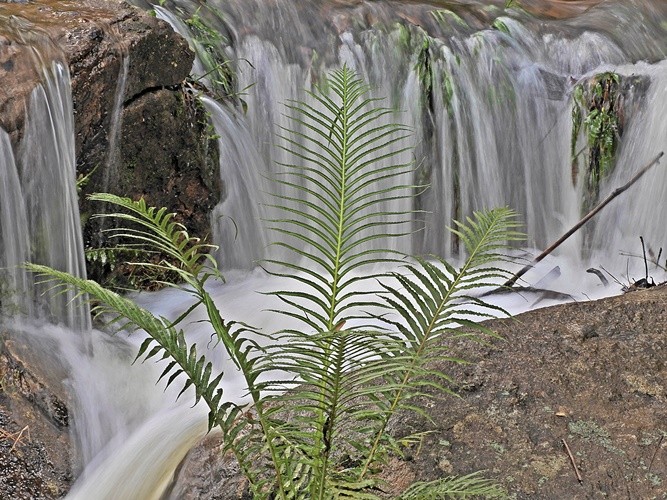 "Um olhar refrescante na Cachoeira dos Pretos......" de Decio Badari