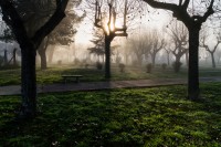 Temprano en la plaza