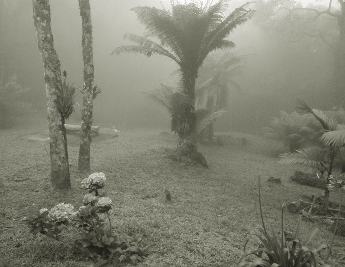 "Brumas da Serra da Mantiqueira" de Decio Badari