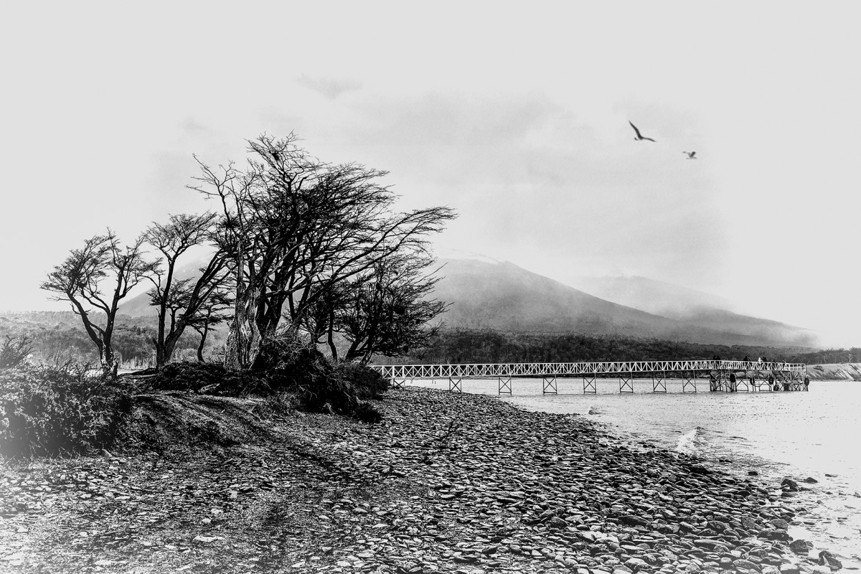 "Paisaje austral" de Nstor Carreres Castro