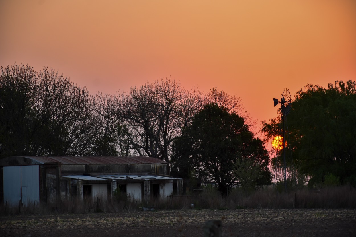 "En el campo" de M. Lorena Escol