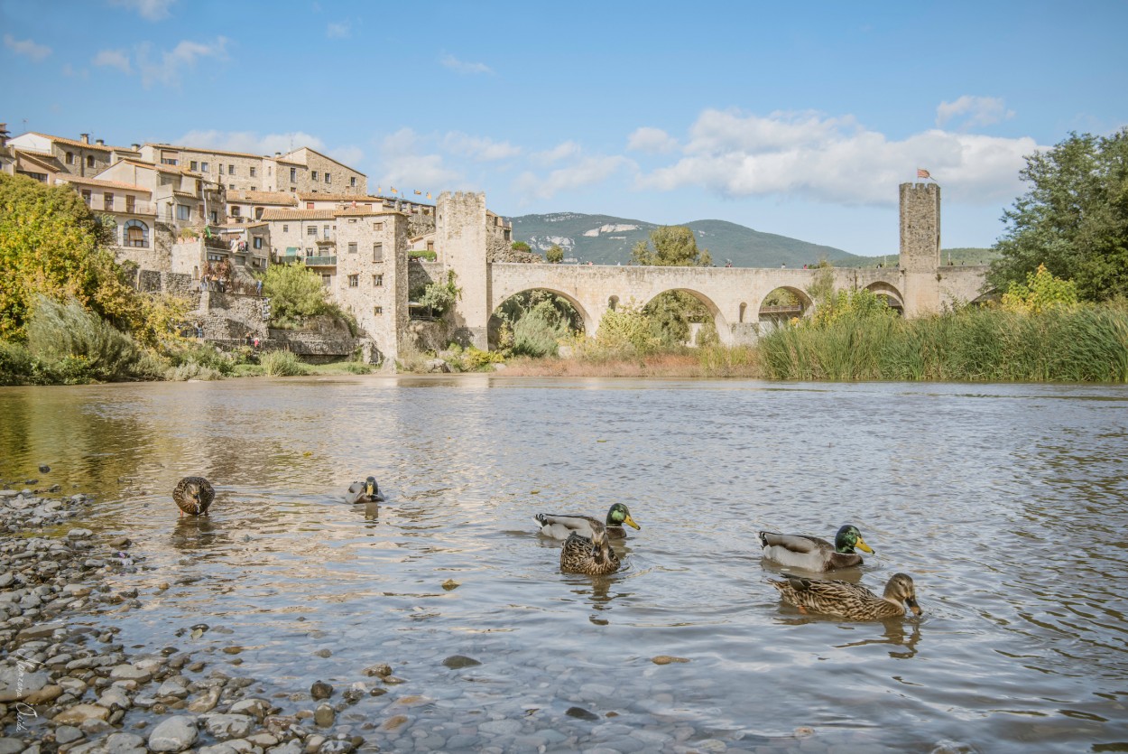 "Los Patos De Besal..." de Carmen Esteban